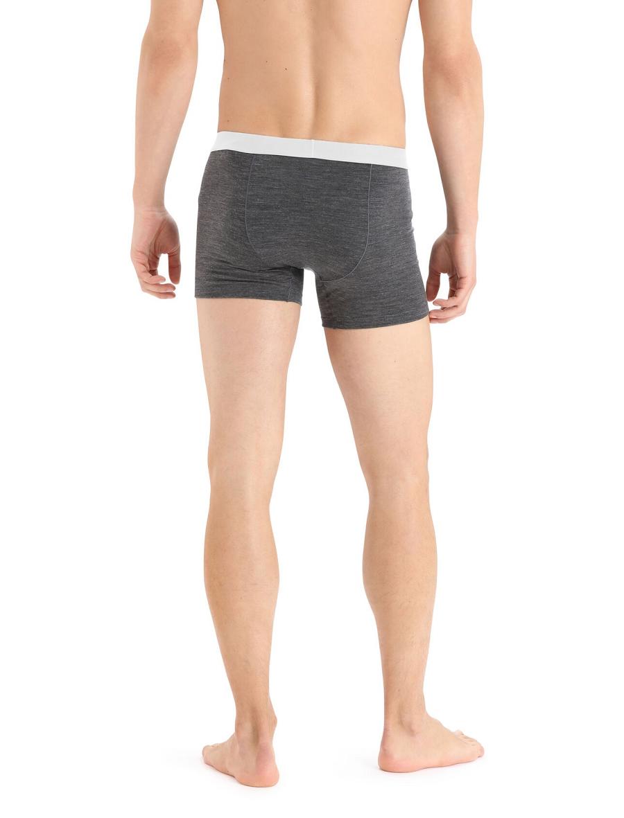 Men's Icebreaker Cool-Lite™ Merino Anatomica Boxers Underwear Monsoon Heather | CA 1628MQZA